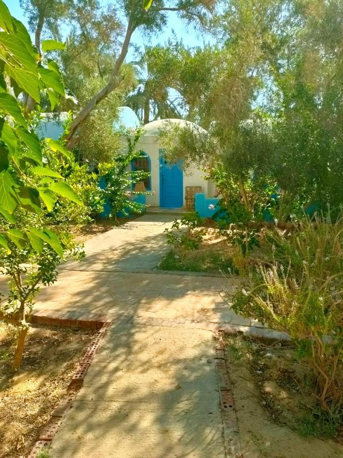 Panta Lodge Siwa Siwa Oasis Eksteriør bilde